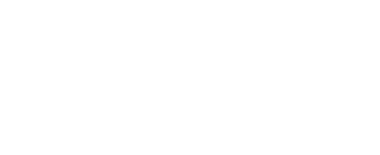 Logotipo de VAG Performance