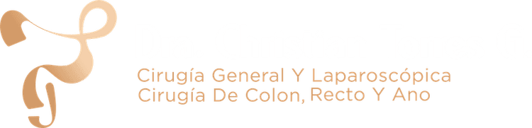 Logotipo de Dra. Christian Torres
