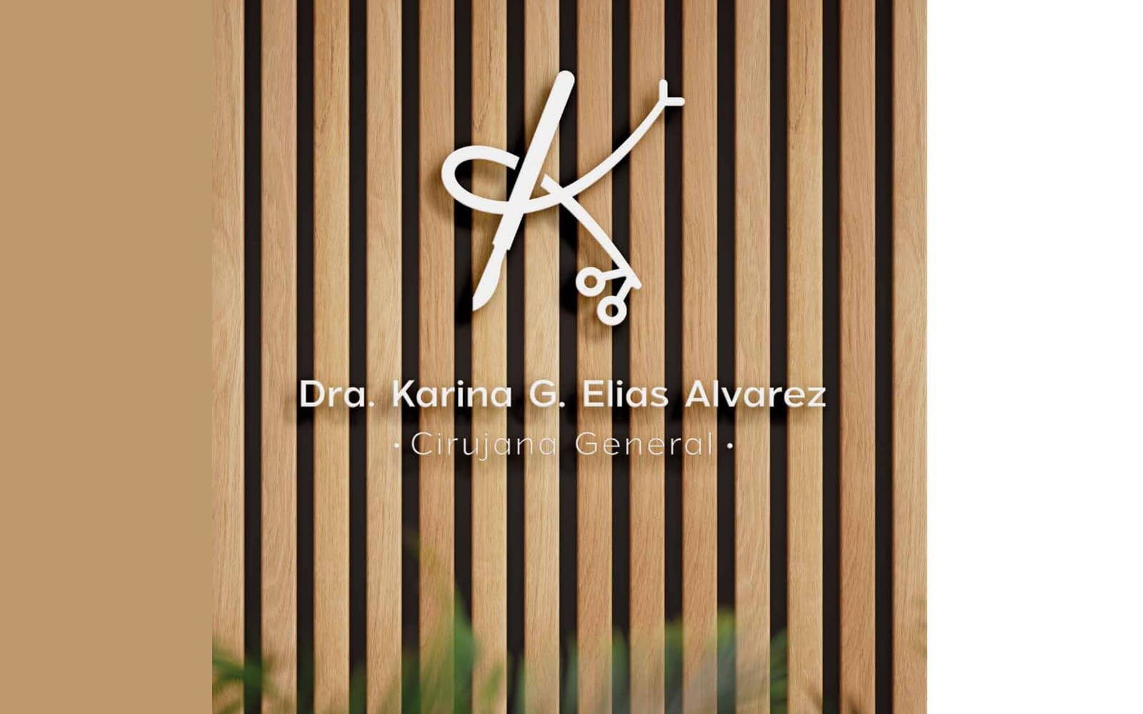 La marca en el muro, de Dra. Karina G. Elías Álvarez