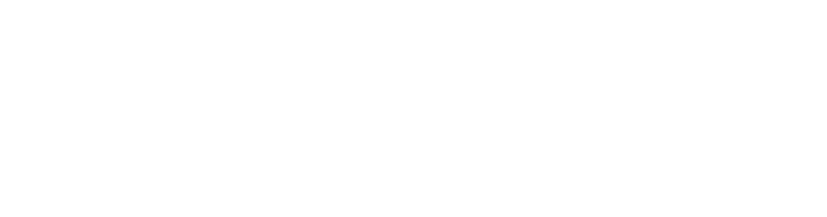 Logotipo de DineMax