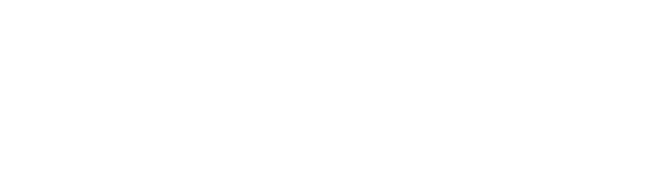 Logotipo de BeeHoks