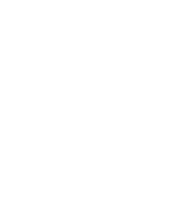 Anatomía del Éxito