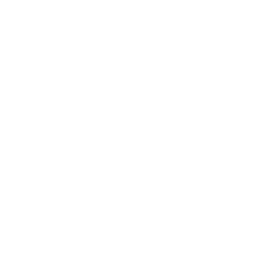 XOLO
