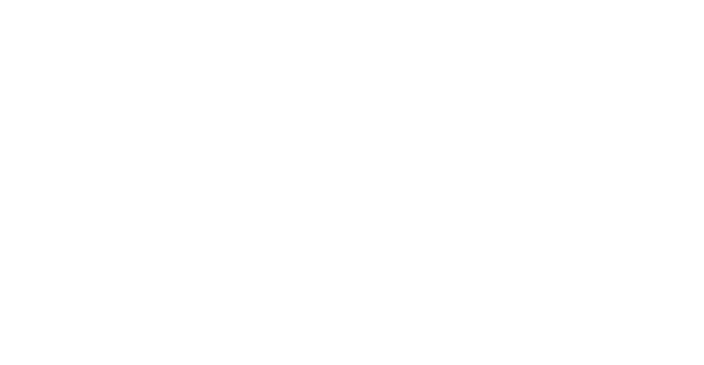 Zybo