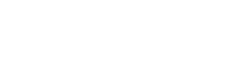 Logotipo de CNNL