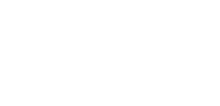 Logotipo de Instituto Geist