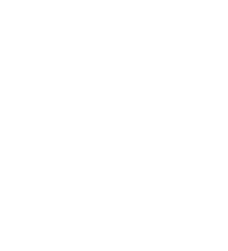Logotipo de Anavya