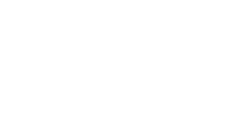 Logotipo de Irma Sol Malpica