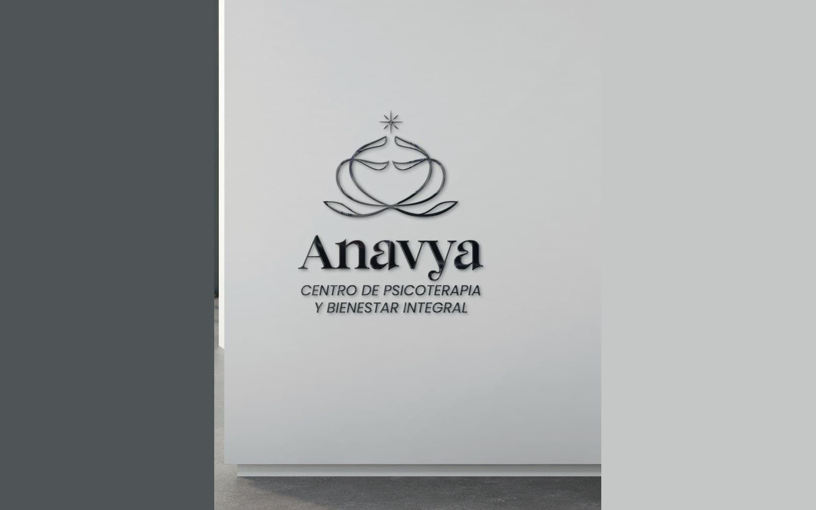 La marca en la recepción, de Anavya
