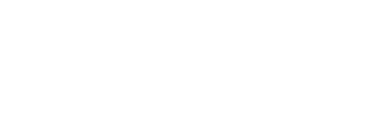 Logotipo de Synergyka