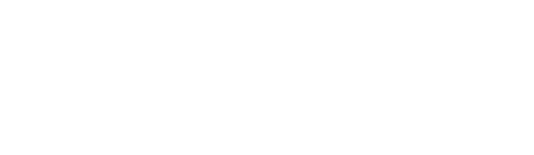 Logotipo de SOLVIT