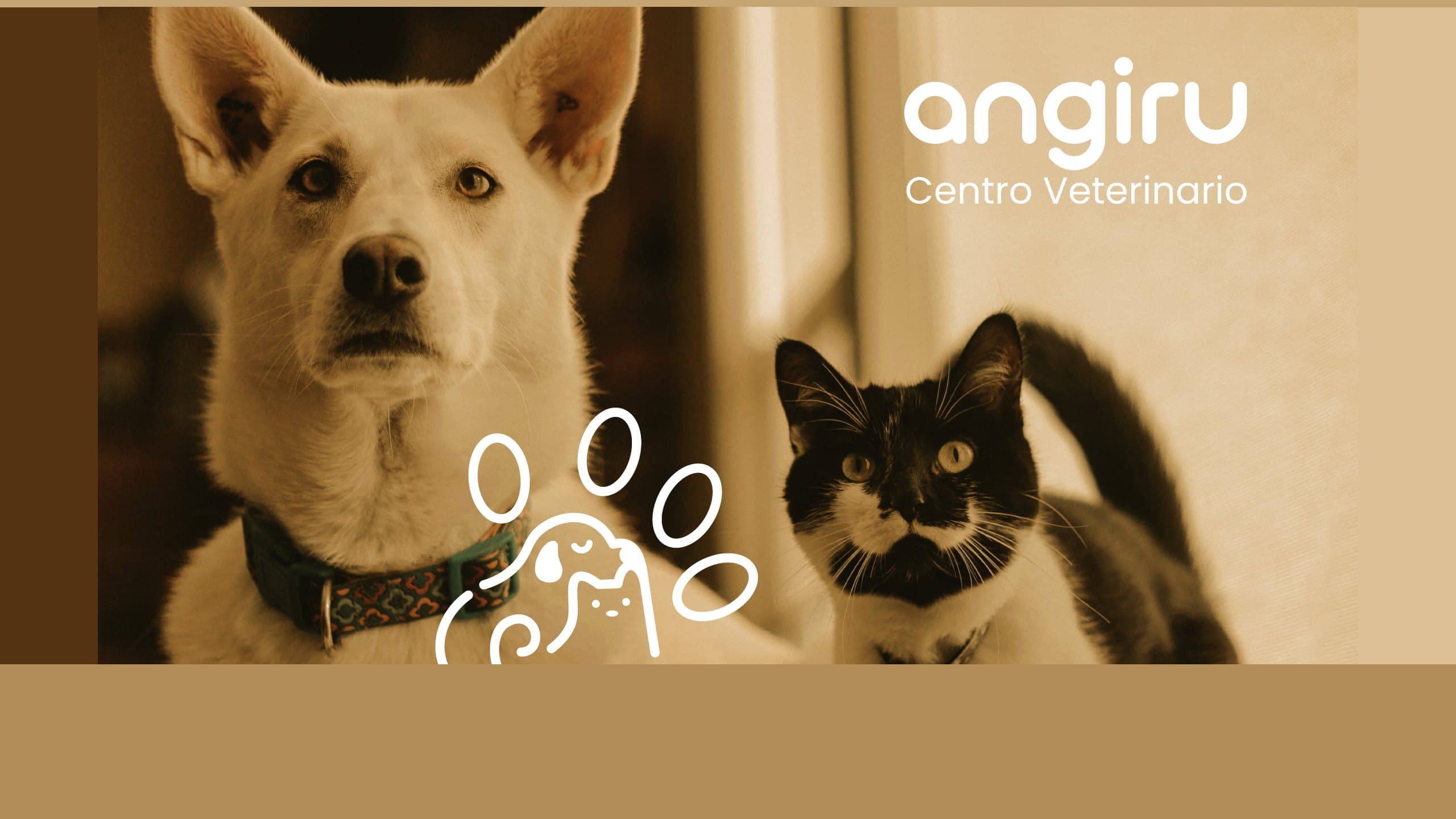 La marca con sus pacientes, de Angiru