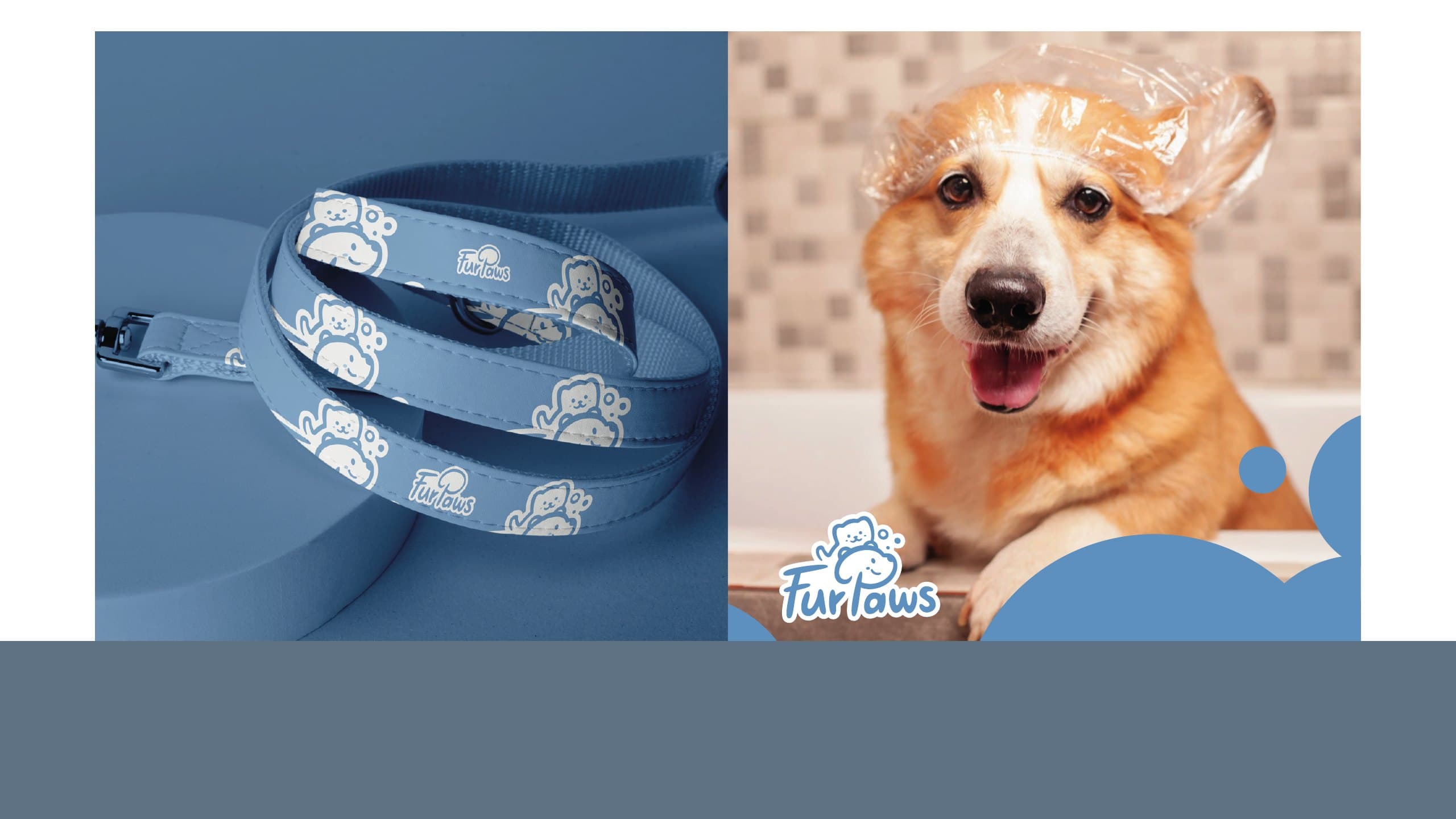 Correa, collar y la marca, de Furpaws